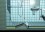 /environment/cache/images/250_250_productGfx_27754d449f682b0366afe9468b6bbe97.jpg